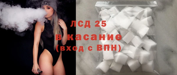 гашик Зеленокумск