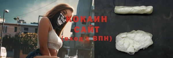 индика Зерноград