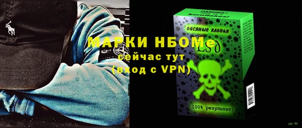 индика Зеленодольск