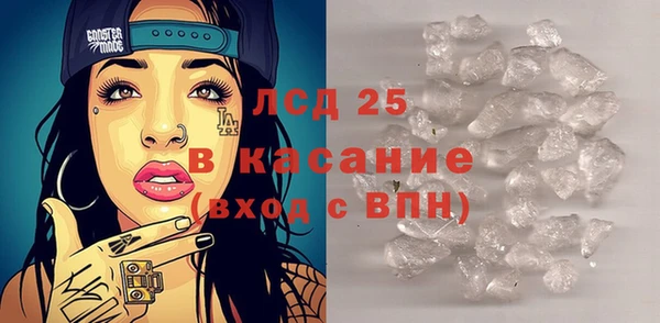 индика Зеленодольск